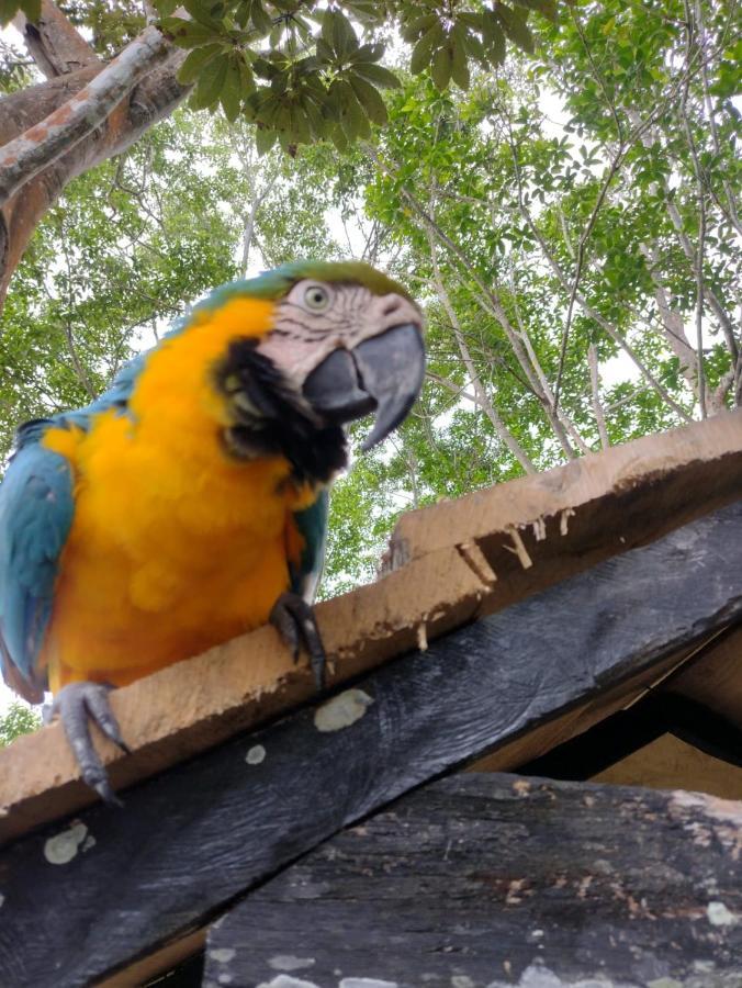 Hotel Alto Amazonas ليتيسيا المظهر الخارجي الصورة