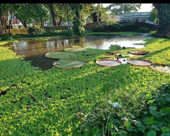 Hotel Alto Amazonas ليتيسيا المظهر الخارجي الصورة
