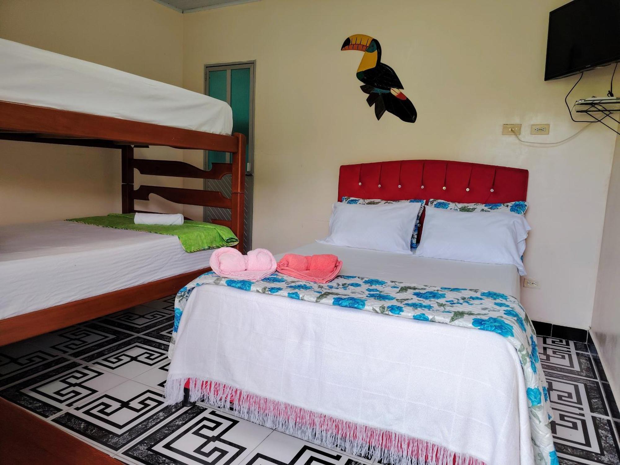 Hotel Alto Amazonas ليتيسيا الغرفة الصورة